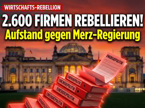 Aufstand der Unternehmer: Fast 2.600 Firmen rechnen mit der Energiepolitik der Großen Koalition ab