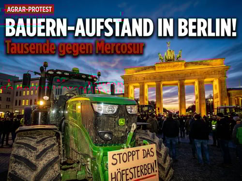 Bauernproteste in Berlin: Tausende fordern Kurswechsel in der Agrarpolitik