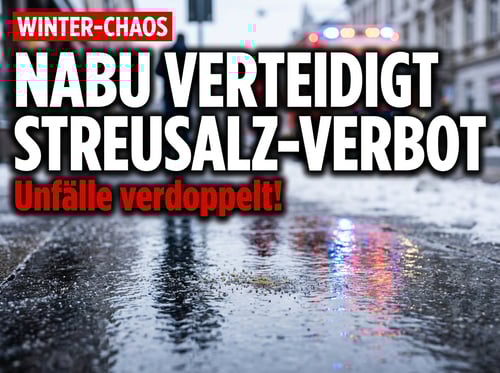 Berliner Nabu verteidigt Streusalz-Klage: Verdoppelte Rettungseinsätze sind für den Verband „relativ normal"