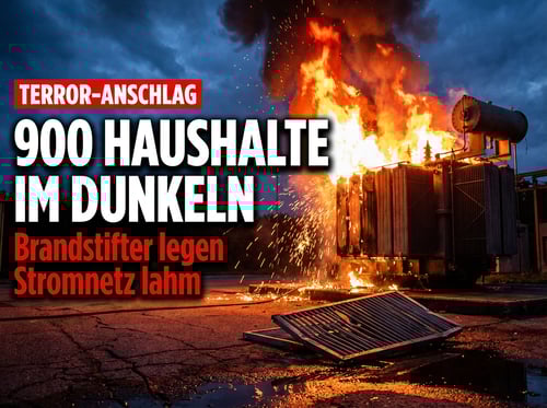 Brandanschlag auf Trafostation: Linksextremistischer Terror legt 900 Haushalte lahm