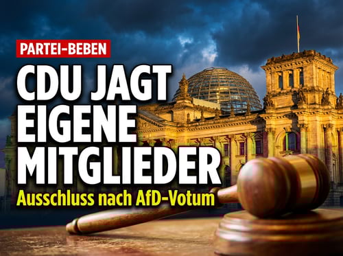 Brandmauer-Posse in Biebesheim: Wenn die CDU ihre eigenen Mitglieder für demokratisches Verhalten bestraft