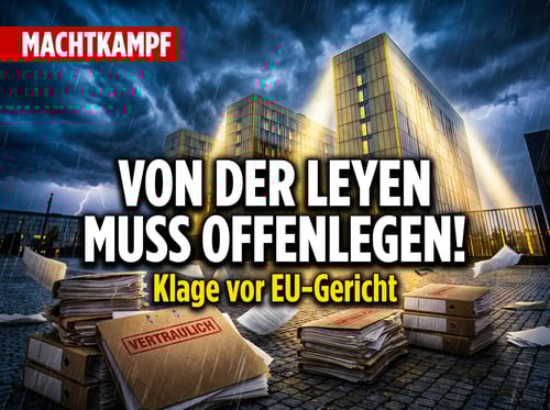 BSW-Chef De Masi verklagt EU-Kommission: Von der Leyen soll Rüstungskontakte offenlegen