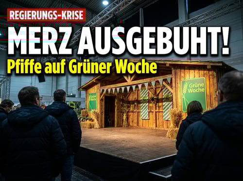 Buhrufe und Pfiffe: Kanzler Merz erlebt auf der Grünen Woche sein blaues Wunder