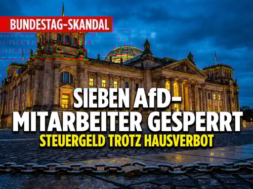 Bundestag sperrt sieben AfD-Mitarbeiter aus – Klöckner will Steuergeld-Schlupfloch schließen