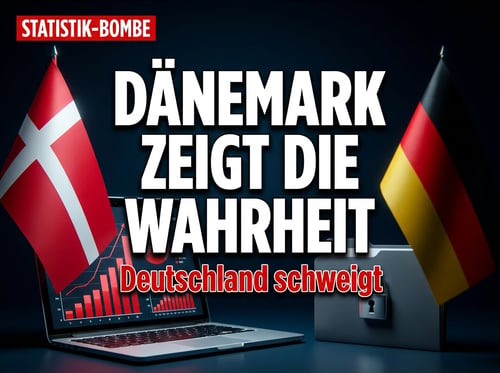 Dänemark legt offen, was Berlin verschweigt: Die wahren Zahlen zur Ausländerkriminalität
