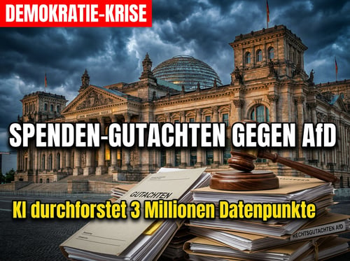 Demokratie auf Bestellung: Wie ein millionenschweres Spenden-Gutachten der AfD den Garaus machen soll