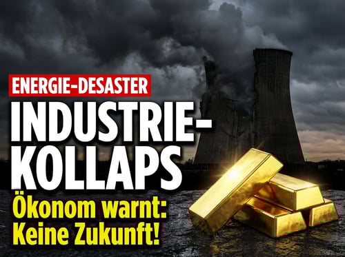 Deutschlands Energie-Desaster: Top-Ökonom rechnet gnadenlos mit der Wirtschaftspolitik ab