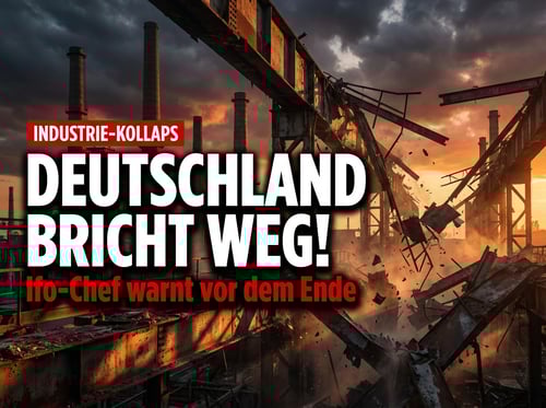 Deutschlands industrielles Rückgrat bricht: Ifo-Chef Fuest spricht Klartext über das Versagen der Energiepolitik