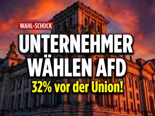 Deutschlands Unternehmer verlieren das Vertrauen in die Regierung: AfD wird zur stärksten Kraft