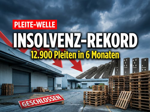 Deutschlands Wirtschaft im freien Fall: Insolvenzwelle erreicht historisches Ausmaß