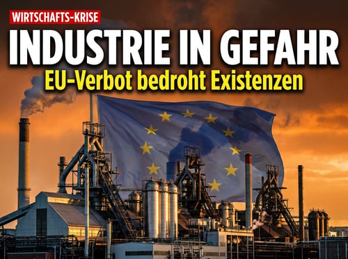 Drägerwerk-Chef rechnet ab: Politik und EU zerstören die Grundlagen unseres Wohlstands