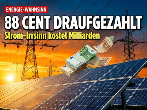 Energiewende-Wahnsinn: Deutschland zahlt bis zu 88 Cent pro Kilowattstunde – damit das Ausland unseren Strom überhaupt nimmt