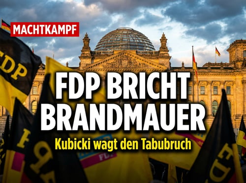FDP am Scheideweg: Kubicki und das Ende einer Lebenslüge namens „Brandmauer“
