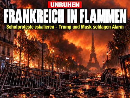 Frankreich brennt: Trump und Musk schlagen Alarm wegen Migration