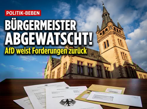 Geisenheimer Bürgermeister kassiert scharfe Abfuhr von der AfD