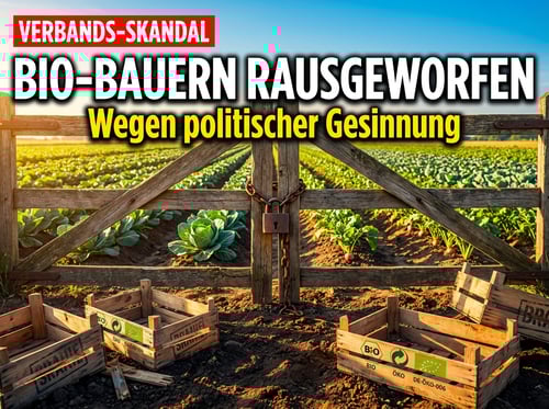 Gesinnungsprüfung im Öko-Stall: Bioland drängt AfD-nahe Landwirte systematisch aus dem Verband