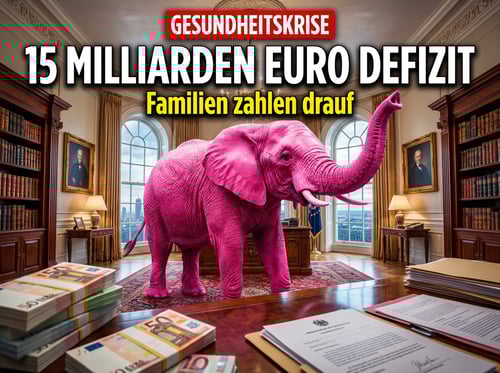 Gesundheitsministerin Warken greift Arbeitgebern und Familien in die Tasche – während der rosa Elefant im Raum unbehelligt trompetet