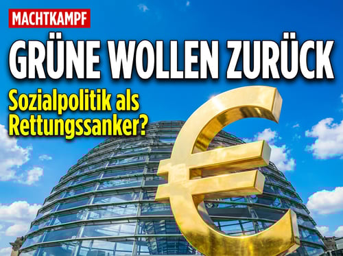 Grüne bieten Regierung Zusammenarbeit an – ein verzweifelter Versuch der Selbstrettung?