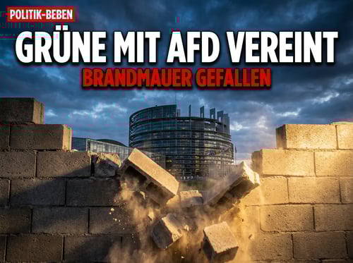 Grüne Doppelmoral: Bei Mercosur fällt die heilige Brandmauer zur AfD wie ein Kartenhaus