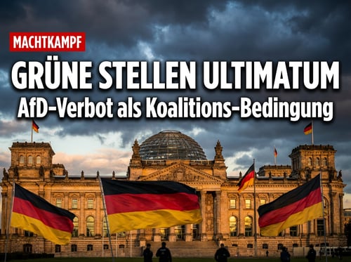 Grüne Erpressung: AfD-Verbot als Eintrittskarte zur Regierung