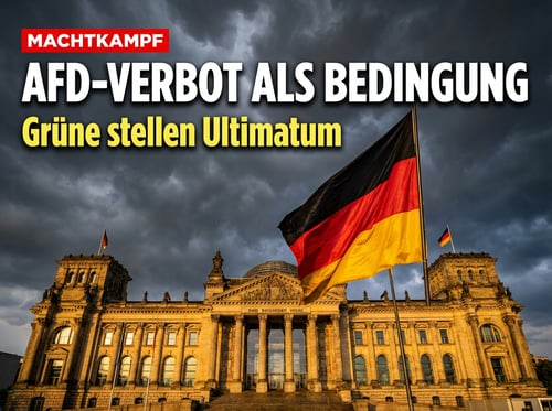 Grüne fordern AfD-Verbot als Koalitionsbedingung: Demokratie oder Diktatur?
