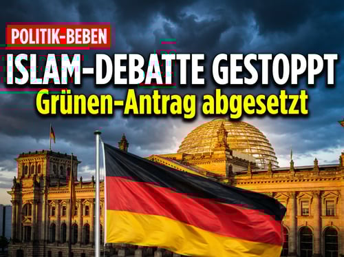 Grüne wollen Islam in Deutschland „verankern" – Bundestag schiebt Debatte auf