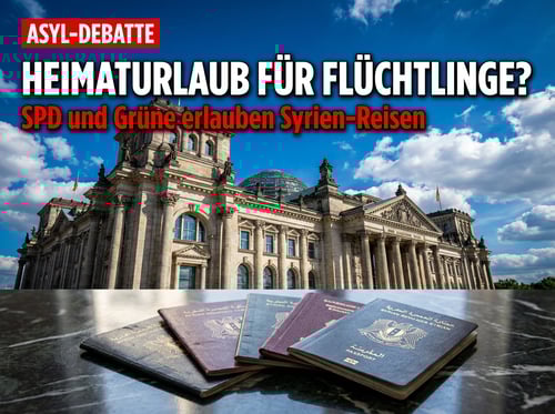 Heimaturlaub für Schutzbedürftige? SPD und Grüne wollen Syrer-Reisen genehmigen