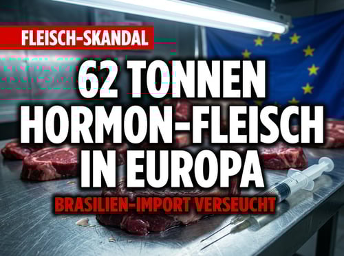 Hormonskandal: Verseuchtes Brasilianisches Fleisch überschwemmt Europa – Mercosur-Kritiker behalten Recht