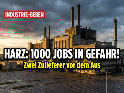 Industrie-Beben im Harz: Zwei Zulieferer vor dem Aus – über 1000 Arbeitsplätze stehen auf der Kippe