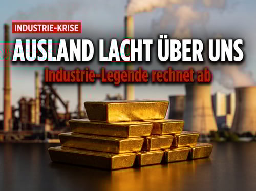Industrie-Legende rechnet ab: „Im Ausland lacht man über unsere Dummheit"