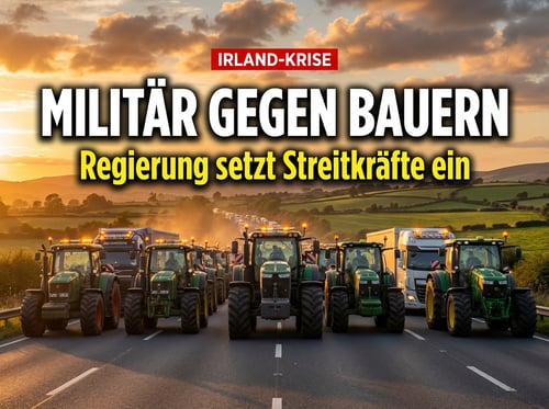 Irland setzt Militär gegen protestierende Bürger ein – die grüne Agenda zeigt ihr wahres Gesicht