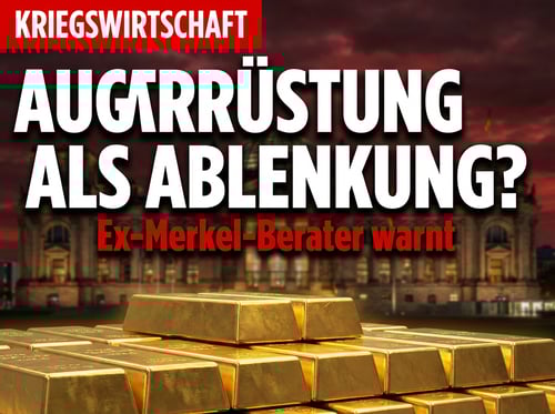 Kriegswirtschaft als Ablenkungsmanöver? Ex-Merkel-Berater schlägt Alarm