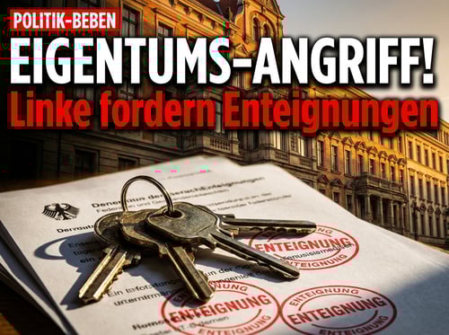 Linke und Grüne fordern Enteignungen: Der Griff nach dem Privateigentum im Namen der Wohnungsnot
