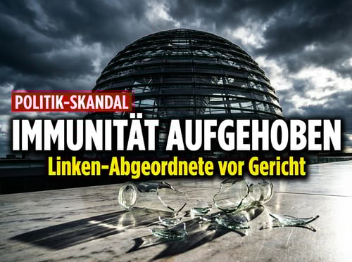 Linken-Abgeordnete Akbulut vor Gericht: Bundestag macht Weg für Strafverfahren frei