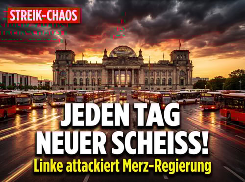Linken-Chefin wettert gegen Merz-Regierung: „Jeden Tag wird neuer Scheiß vorgeschlagen"