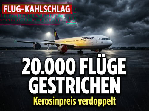 Lufthansa-Kahlschlag: 20.000 Flüge gestrichen – wenn die Politik den Himmel verdunkelt