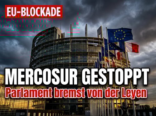 Mercosur-Abkommen auf Eis: EU-Parlament bremst von der Leyens Prestigeprojekt aus