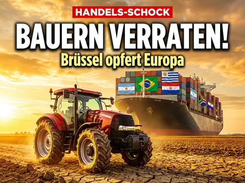 Mercosur-Abkommen: Brüssels Freihandels-Coup auf dem Rücken europäischer Bauern