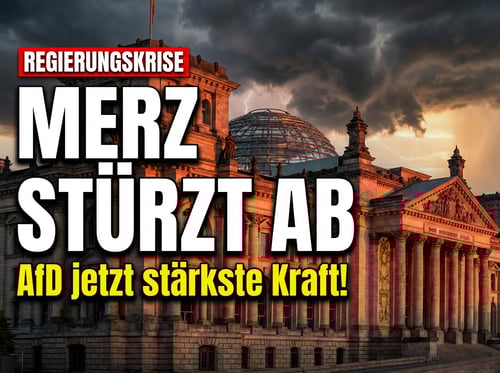 Merz-Regierung im freien Fall: AfD überholt Union erneut in der Wählergunst