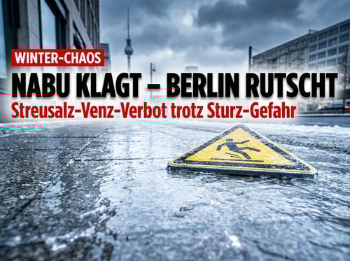 NABU-Chef verteidigt umstrittene Streusalz-Klage: „Wir sind immer noch ein Rechtsstaat"