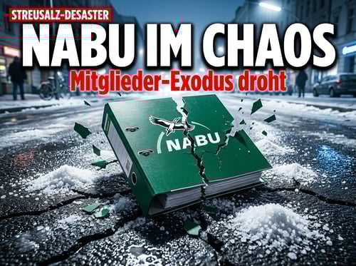 NABU in der Krise: Streusalz-Klage bringt Naturschutzbund ins Schleudern