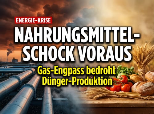 Nahrungsmittel-Schock voraus: Wenn die Energiekrise am Esstisch ankommt