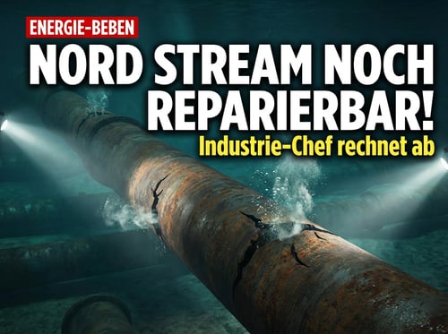 Nord Stream noch reparierbar: Europipe-Chef rechnet mit deutscher Energiepolitik ab