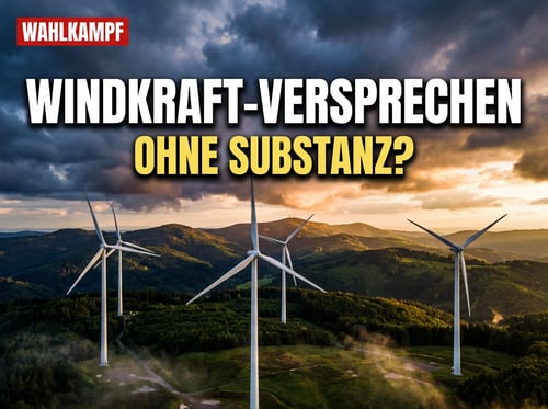 Özdemirs Windkraft-Versprechen: Wenn Wahlkampf auf Realität trifft