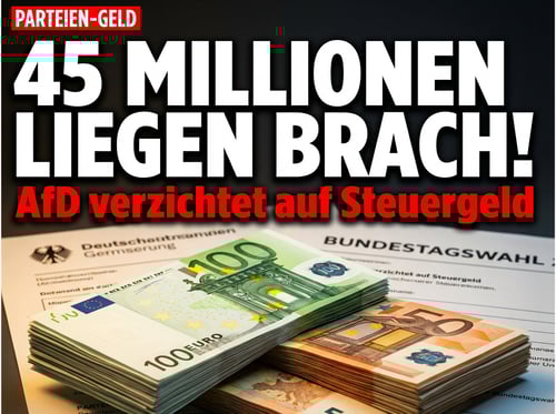 Paradoxe Parteienfinanzierung: AfD lässt 45 Millionen Euro Steuergeld liegen