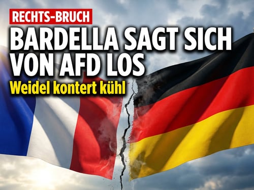 Pariser Distanzierung: Bardella geht auf Abstand zur AfD – Weidel kontert kühl