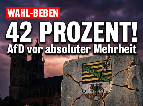 Politisches Erdbeben in Sachsen-Anhalt: AfD kratzt mit 42 Prozent an der absoluten Mehrheit