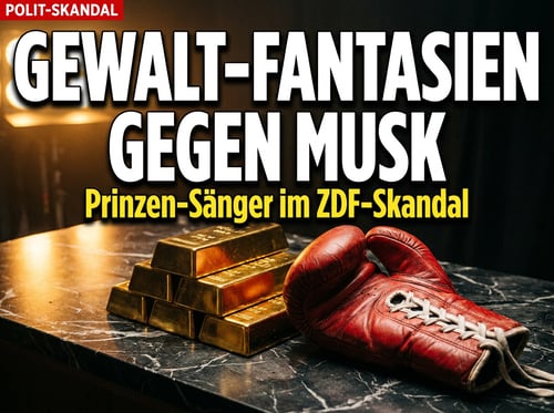 Prinzen-Sänger fantasiert von Gewalt gegen Musk: Wenn Pop-Moralisten zur Umverteilungskeule greifen