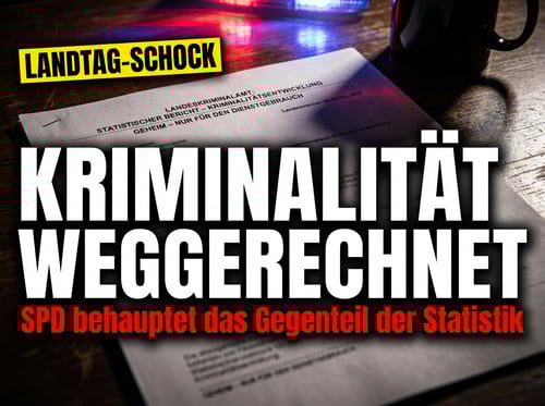 Realitätsverweigerung im Landtag: SPD-Politikerin erklärt Migrationskriminalität kurzerhand für nicht existent