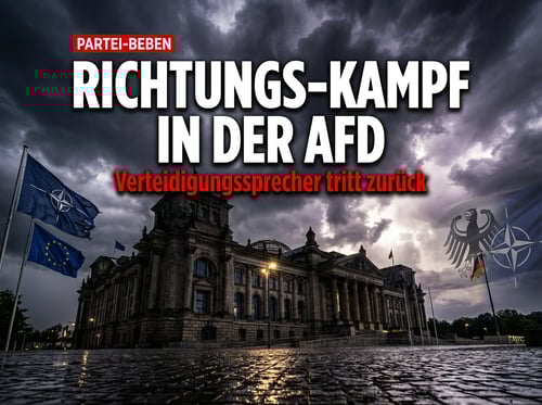 Richtungskampf in der AfD: Verteidigungssprecher Lucassen wirft das Handtuch
